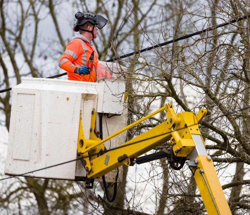 As a trusted source, Network Connex helps government and utilities navigate in the digital communications infrastructure space.